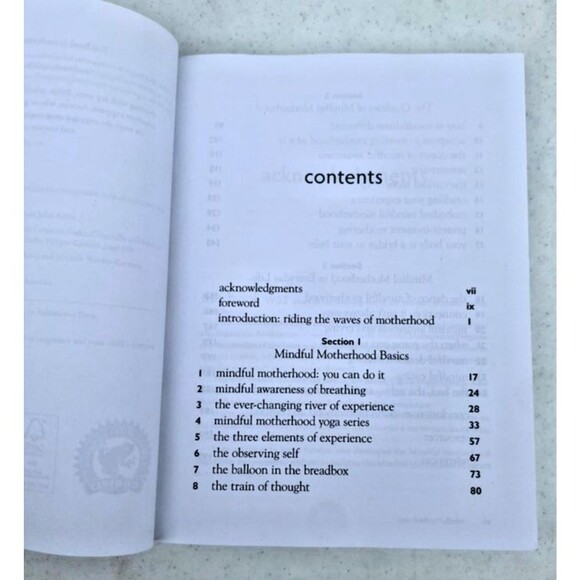 Mindful Motherhood: Practical Tools for Staying Sane During Pregnancy & First Yr - Picture 5 of 6